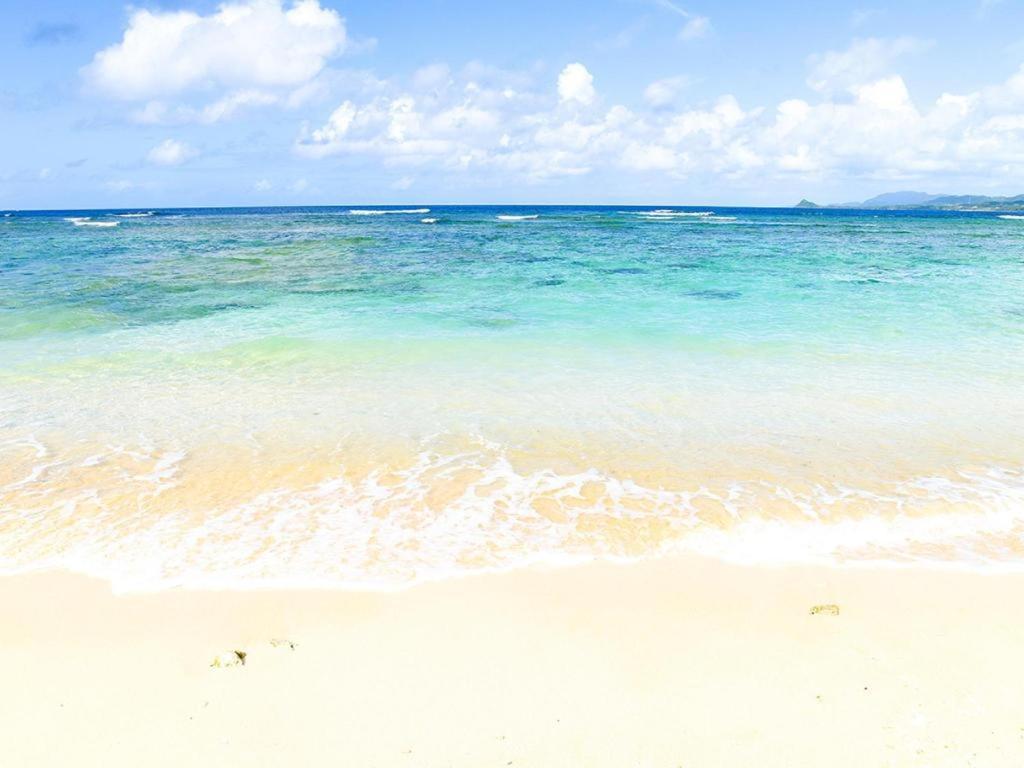 Rich Reson Ishigaki Hotel Ishigaki  Luaran gambar